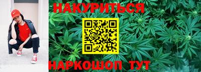 стаф Краснодар