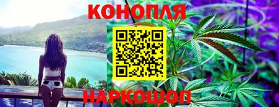 стаф Краснодар